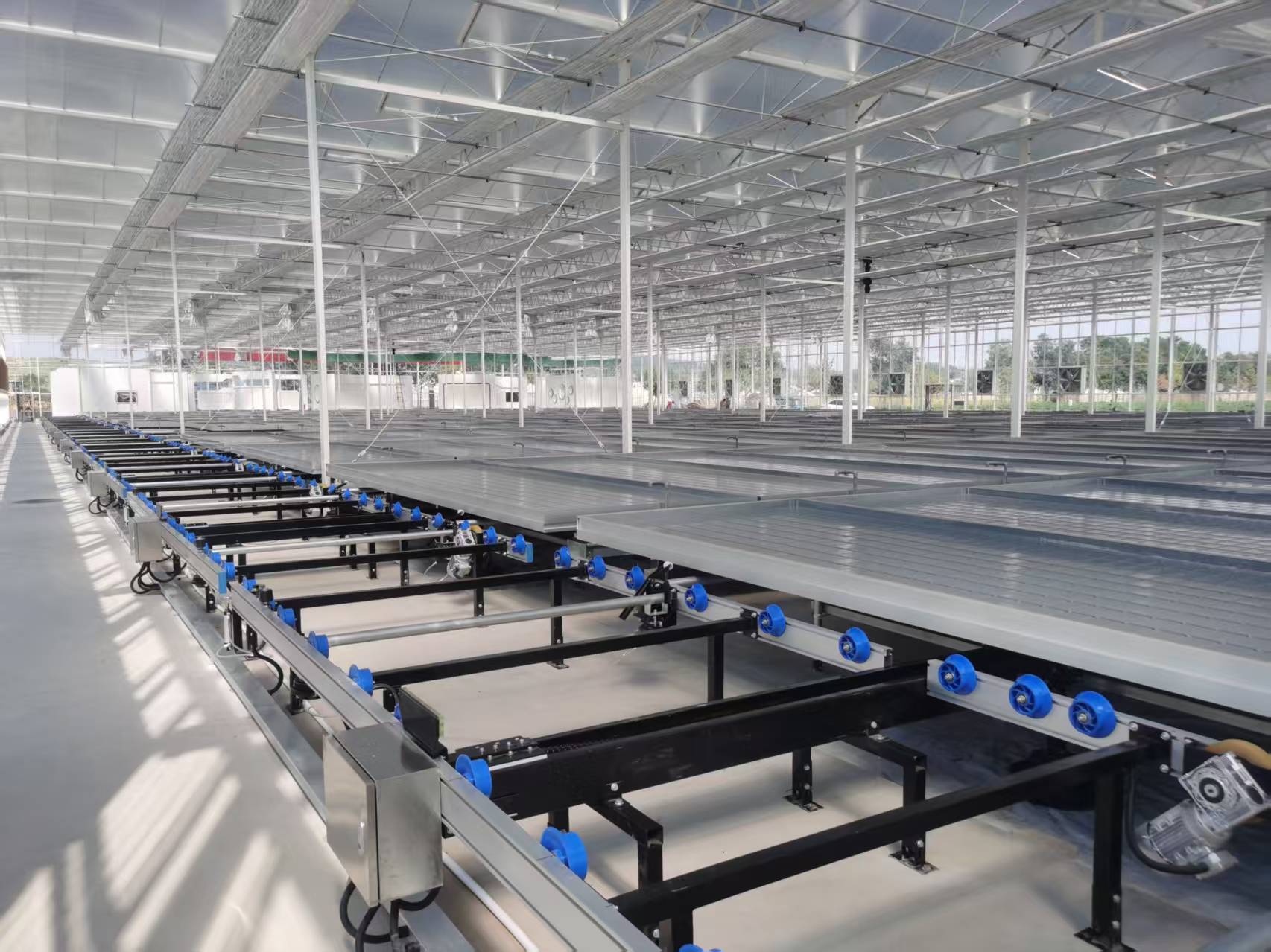 Logistics seedbed construction case in Gaoping City, Shanxi Province, China.